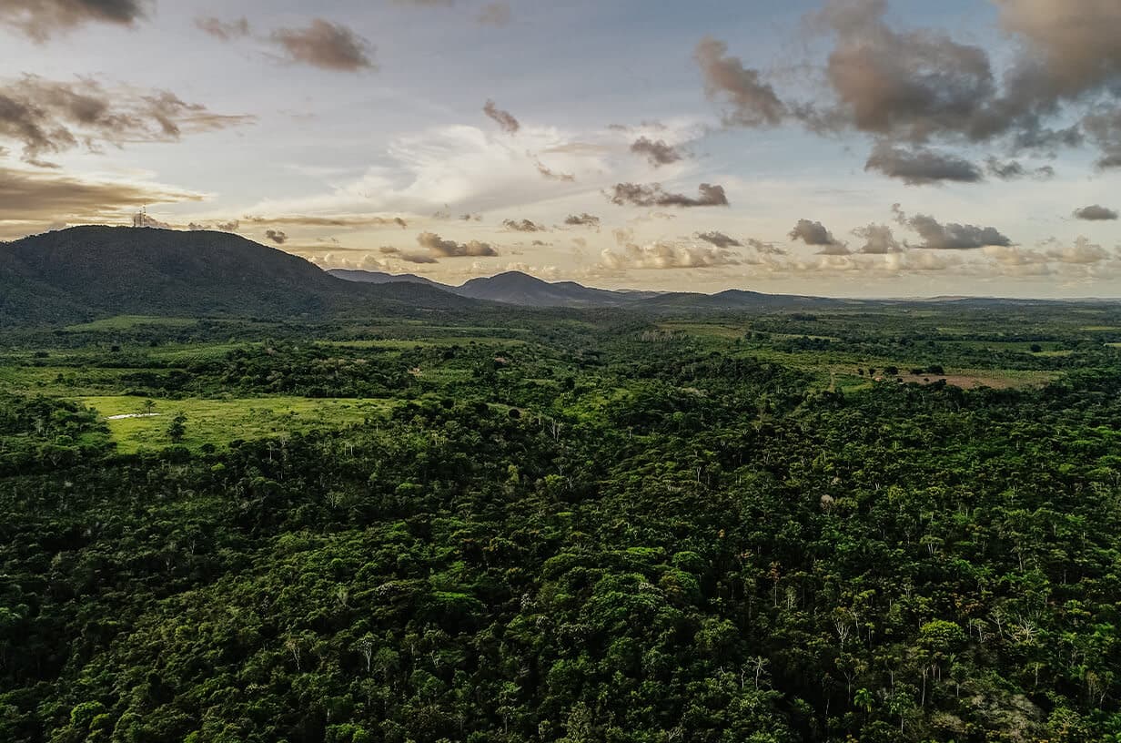 Bahia, Atlantic Rainforest