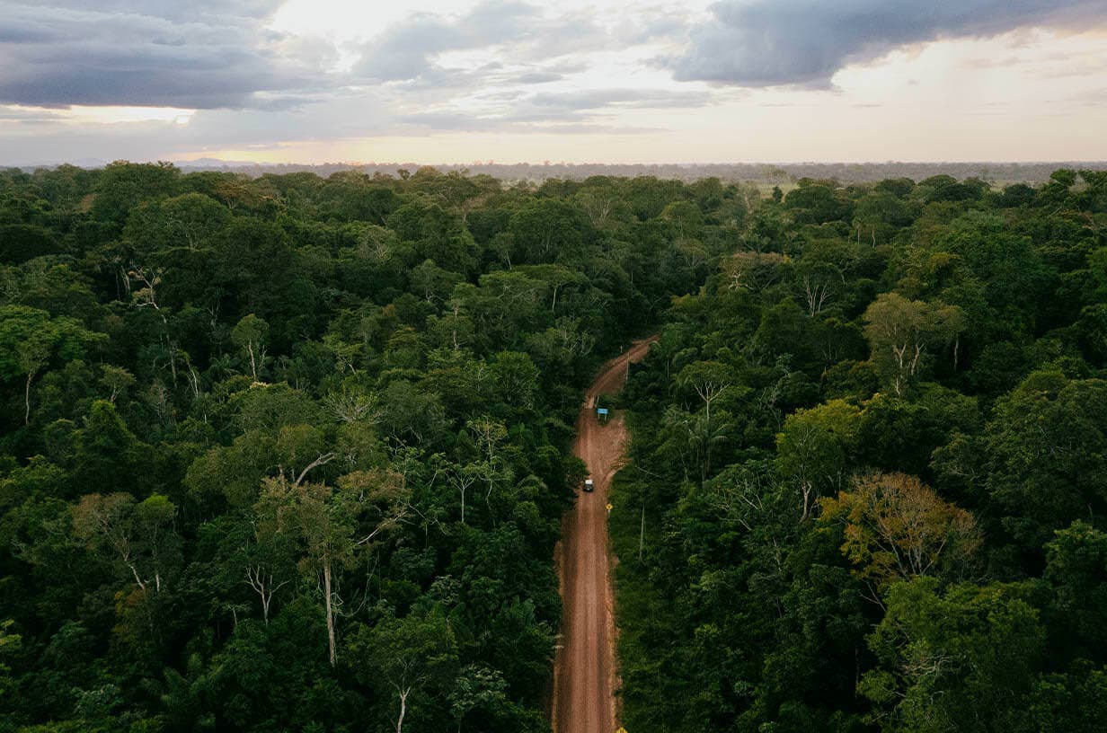Roraima, Amazon Jungle