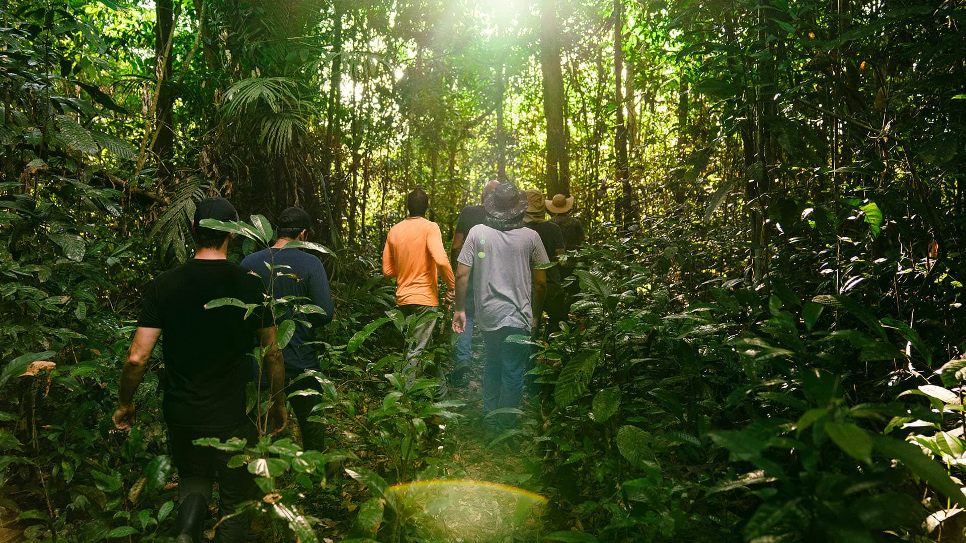 Courageous Land team in the field
