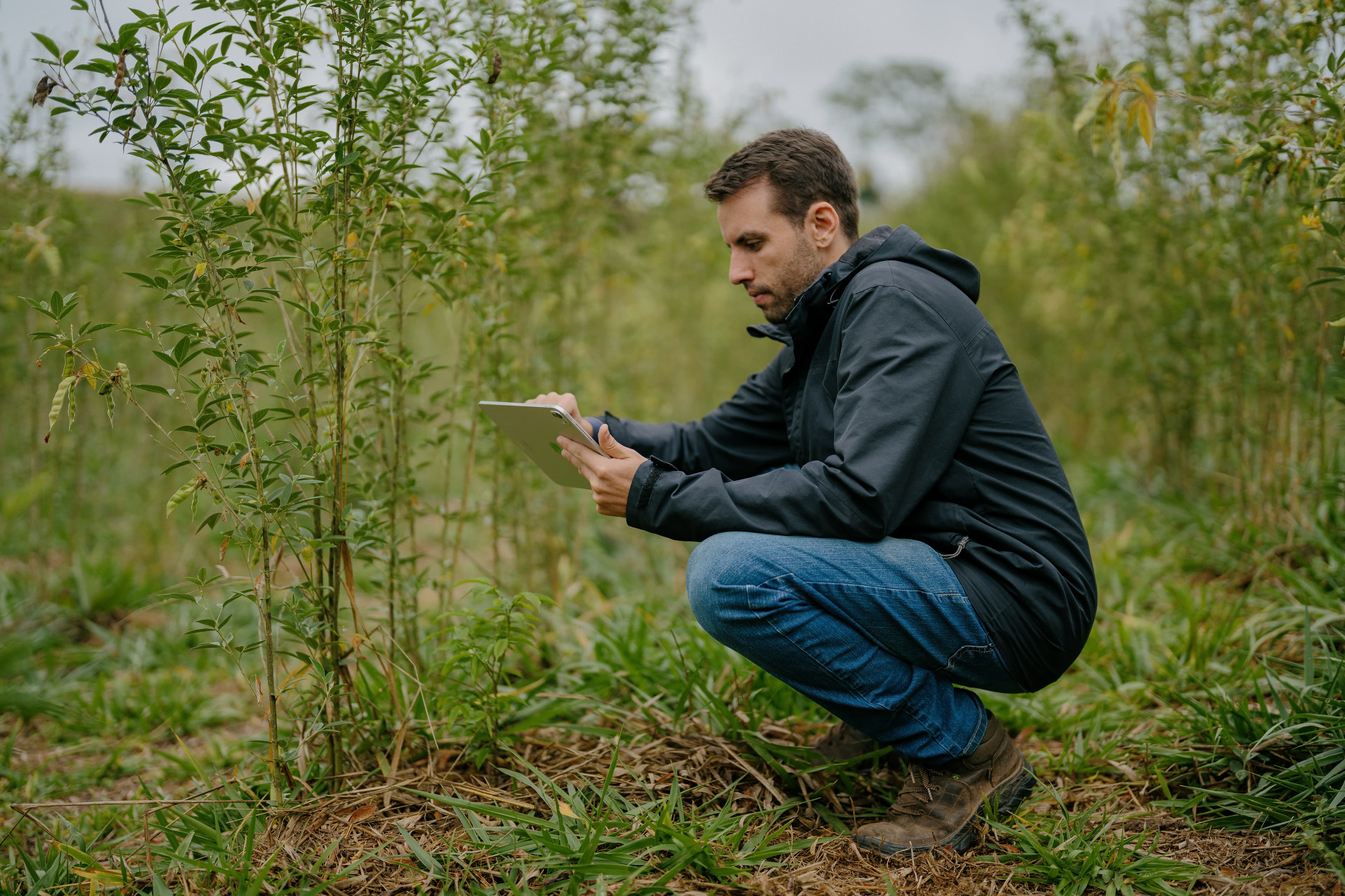 Gerente de Projetos Agroflorestais (PMO) - Roraima