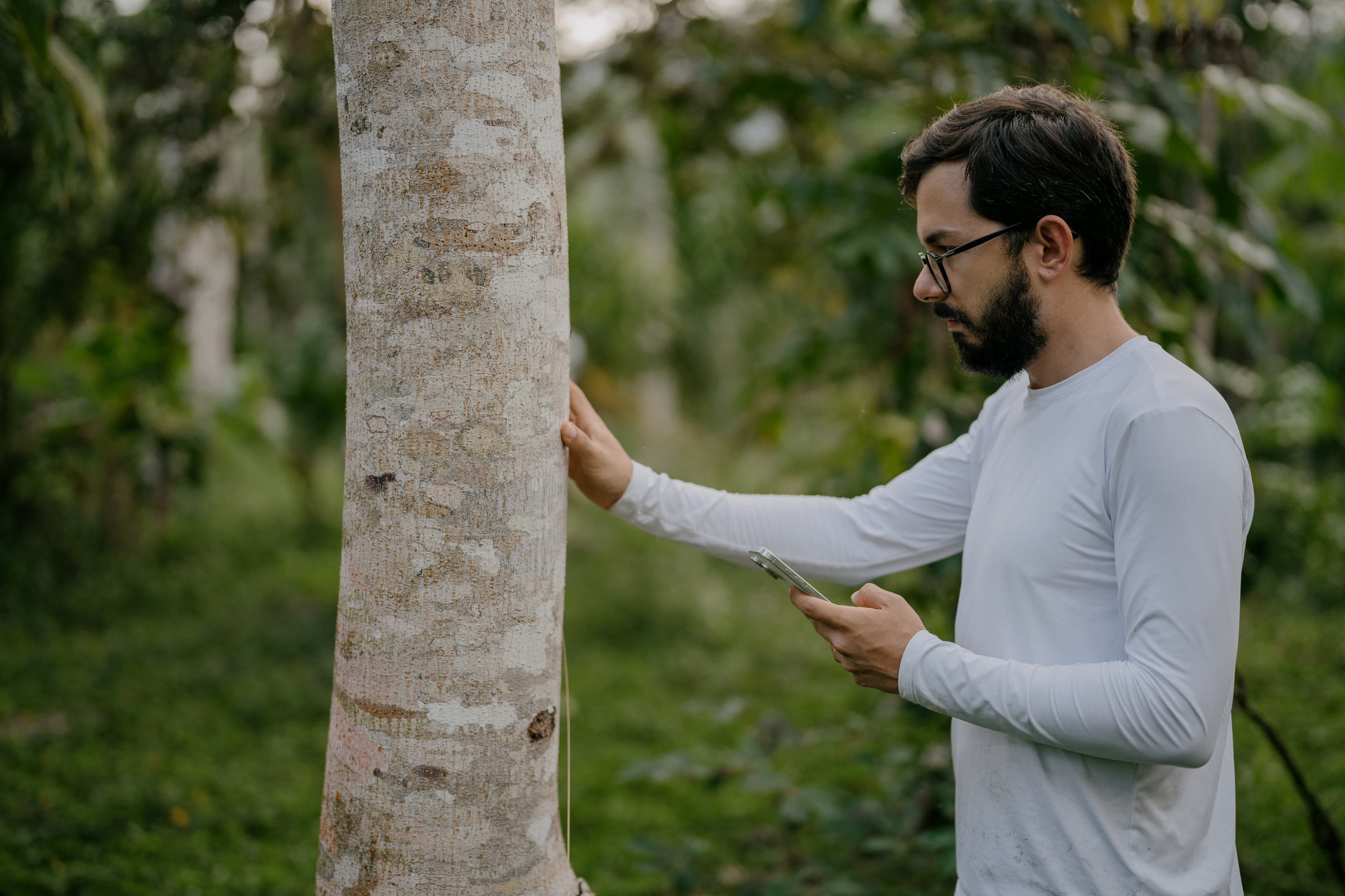 Estágio em Ciências de Dados Agroflorestais e Carbono