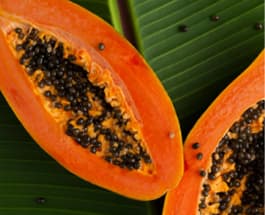 Papaya