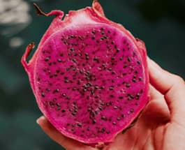 Dragon Fruit