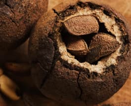Brazil Nut