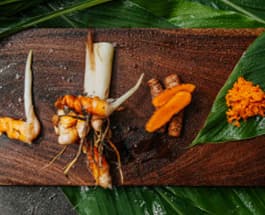 Curcuma