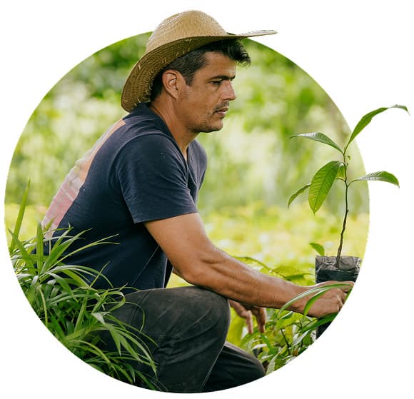 Agricultor segurando uma muda