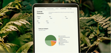Software preview 2
