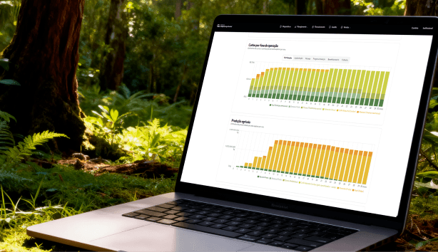 Management dashboard