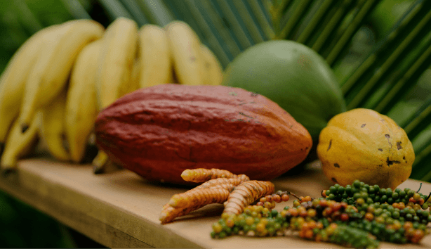 Agroforestry products