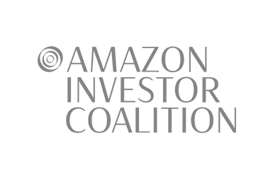 Amazon Investor